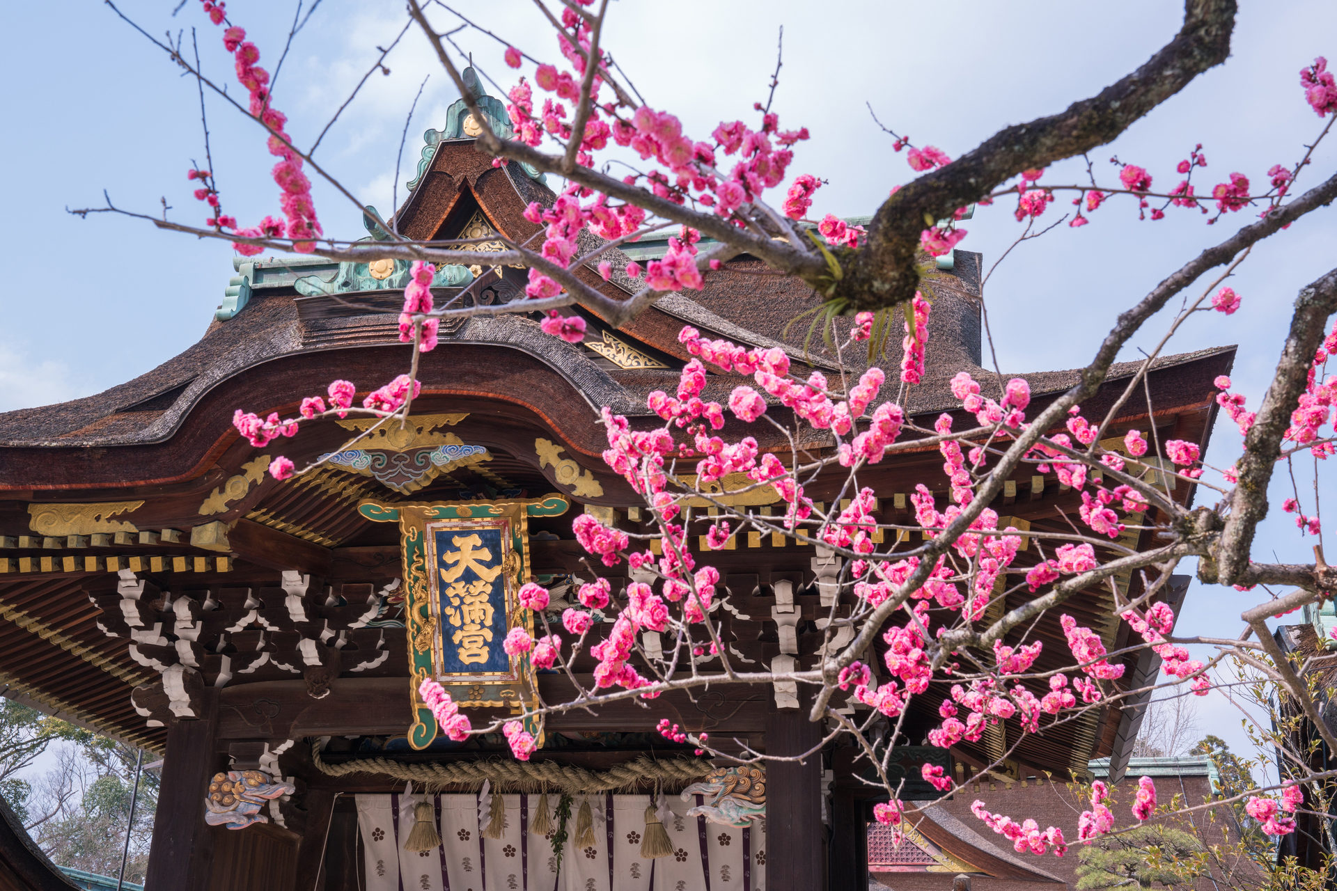 京都　北野天満宮
